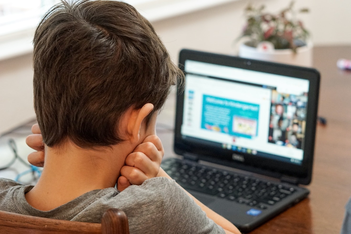 Real Stories: Success Through Online Courses